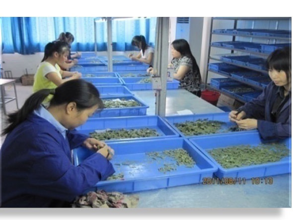 修型树组车间